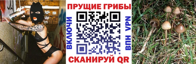 Галлюциногенные грибы мицелий  Шахунья 